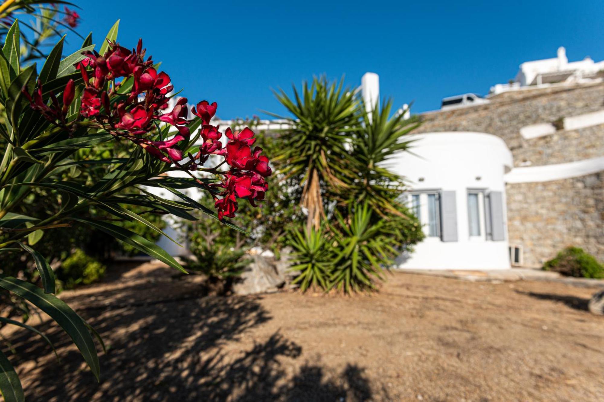 9 Muses Villas Mykonos Ornos  Oda fotoğraf